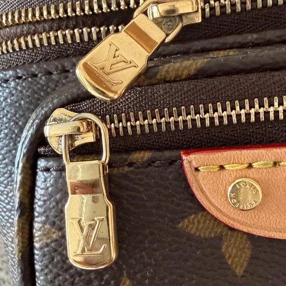 Louis Vuitton Mini Bum Bag - Picture 11 of 16